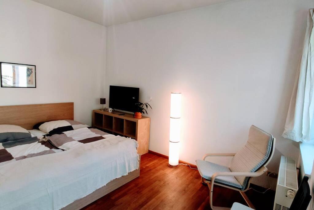 Modern Studio08 With Big Balcony In The Neustadt Δρέσδη Εξωτερικό φωτογραφία